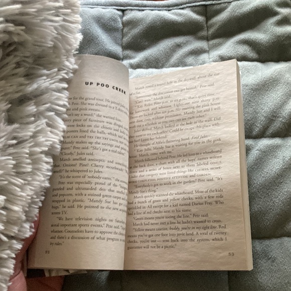 This is the book Loot by Jude Watson. It is the first book of its series - Picture 3 of 4